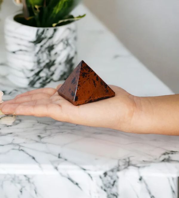 Natural 10 Mukhi Nepali Rudraksha + Sphatik Bracelet (14mm)